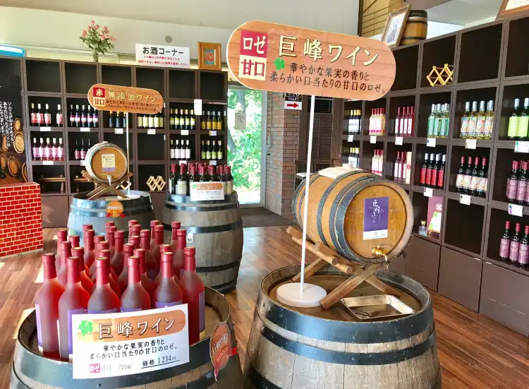 甲斐市竜王武道館附近的飯店