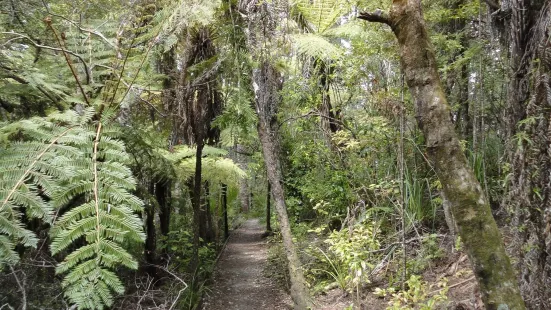 Alice Eaves Scenic Reserve