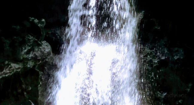 Burung Walet Waterfall