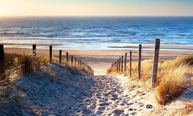 Carolina Bike And Beach