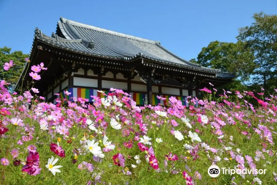 般若寺