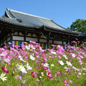 般若寺