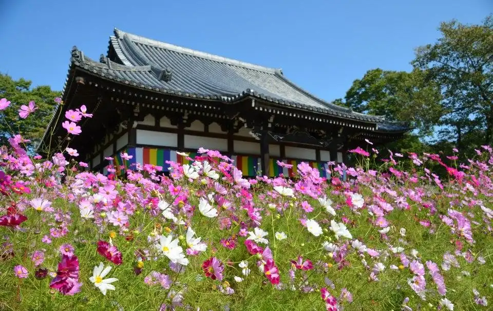 Hotels near Hannya Ji