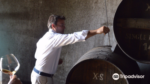 Bodegas Ximenez Spinola