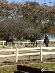 Horse Riding Club Crane Ina