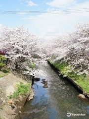 海老川