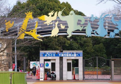 Chiba Zoological Park