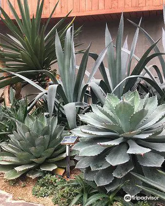 富川植物園