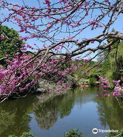 Ataturk Arboretum