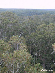 Warren National Park