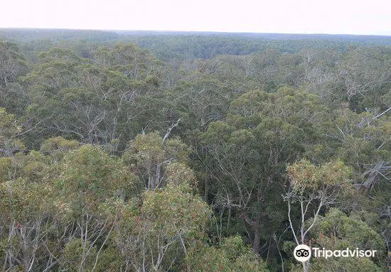 Warren National Park