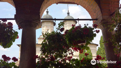 Cetatuia Monastery