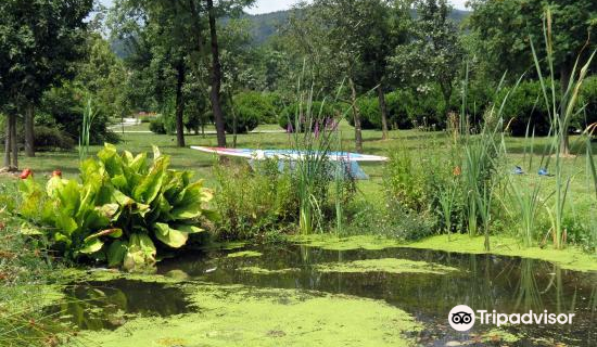 Botanical Garden of the University of Maribor