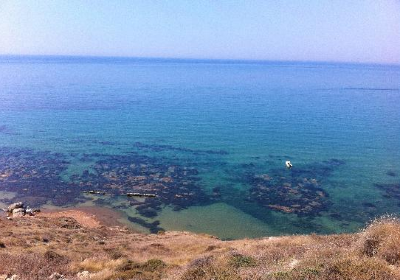 Riserva Naturale di Punta Bianca