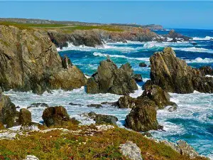 Cape Shore Trail