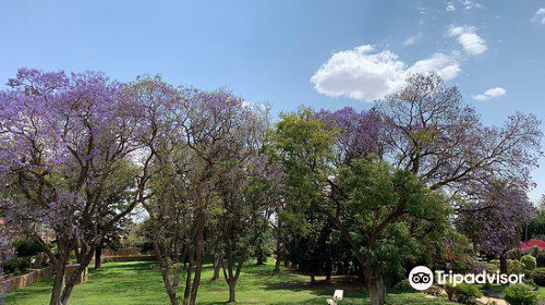 Parliament Gardens