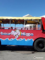 Harbour Hippo