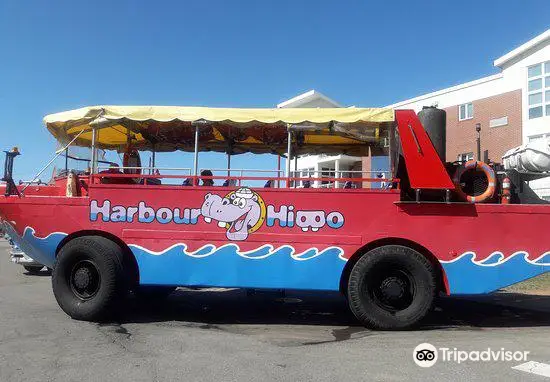 Harbour Hippo