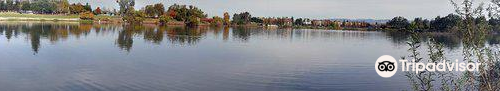 Almaden Lake Park