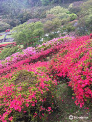 椎八重公園