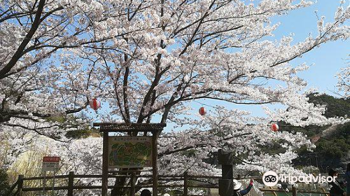 奧山雨山自然公園