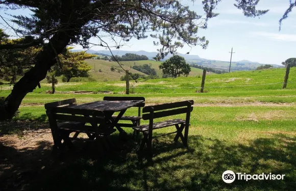 弗爾恩布魯科住宿加早餐旅館