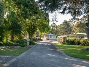 Pine Country Caravan Park