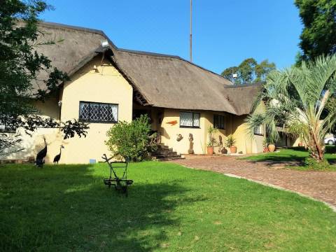 Pine Tree Lodge Midrand Updated 2021 Price Reviews Trip Com