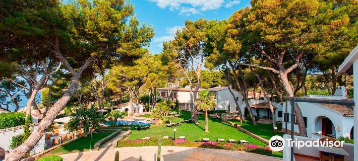 Hotel Bendinat Hotels in Calvia