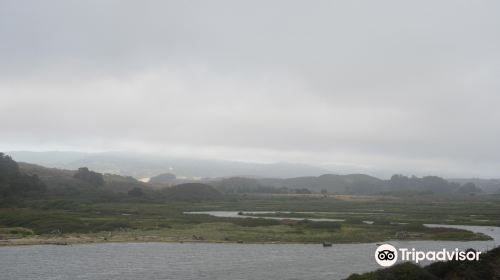 Pescadero Marsh Natural Preserve