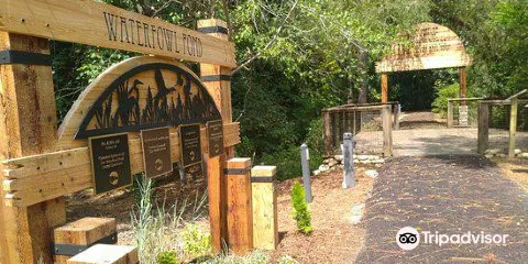 The Center for Wildlife Education at Georgia Southern University