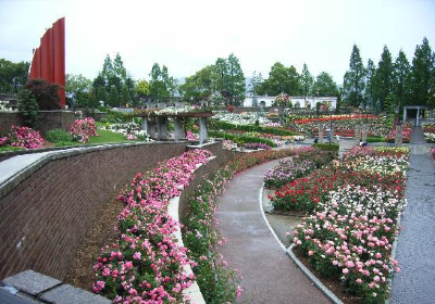 Aramaki rose garden