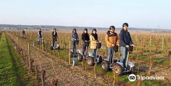 La Chevallerie - Gaëtan BRUNEAU wines