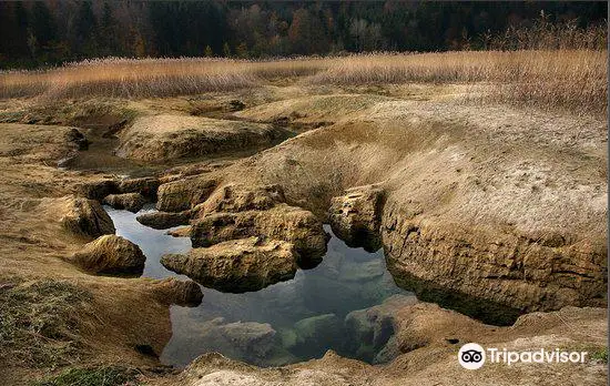 Cerknica Lake