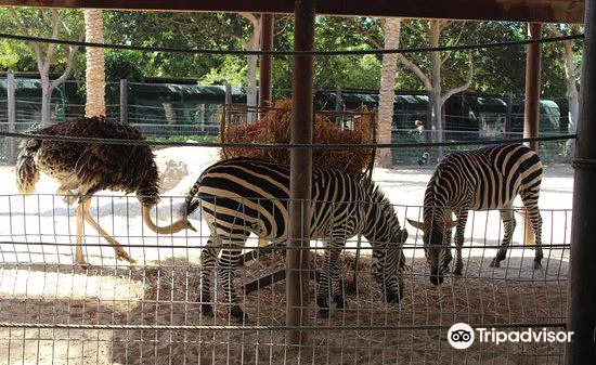 5_Hai Park Kiryat Motzkin