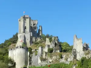 Chateau de Lavardin