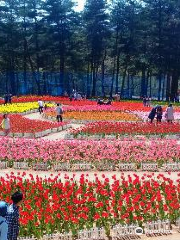 Yukiyagawa Dam Forest Park