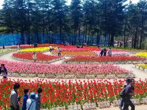 Yukiyagawa Dam Forest Park