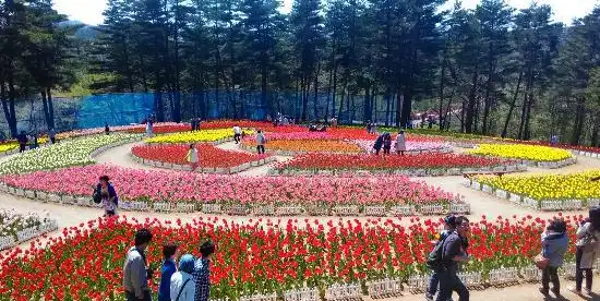 軽米町のホテル