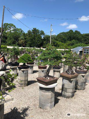 Wigert's Bonsai Nursery