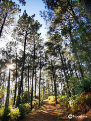 Parque Natura Monte Aloia