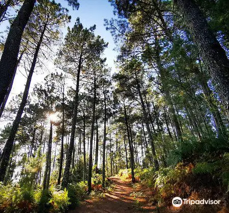 Parque Natura Monte Aloia