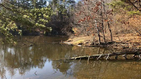 Jefferson Memorial Forest