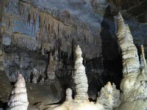 The Caverns of Quiocta