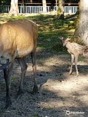 La Gradina Zoo