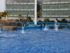 Aquarium de Valencia