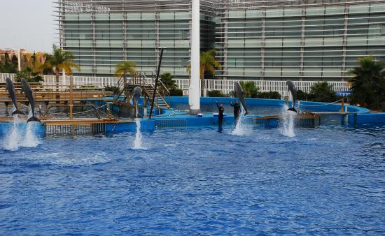 Valencia's Aquarium
