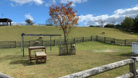 宇陀 動物公園