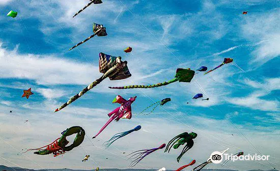 3_Base Nature Francois Leotard