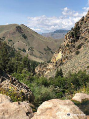 Goldbug Hot Springs